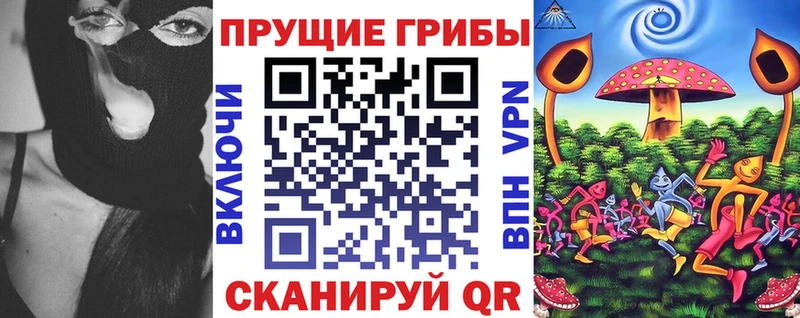 Псилоцибиновые грибы Psilocybine cubensis  наркота  Вязьма 